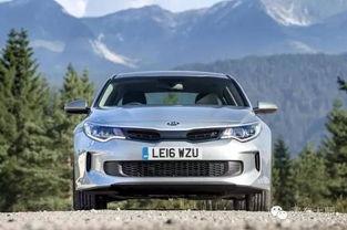 国产天天插,探索国产影视作品的创新与魅力