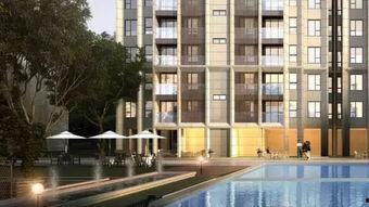 91丨九色丨欧美丨免费入口,探索多元文化盛宴